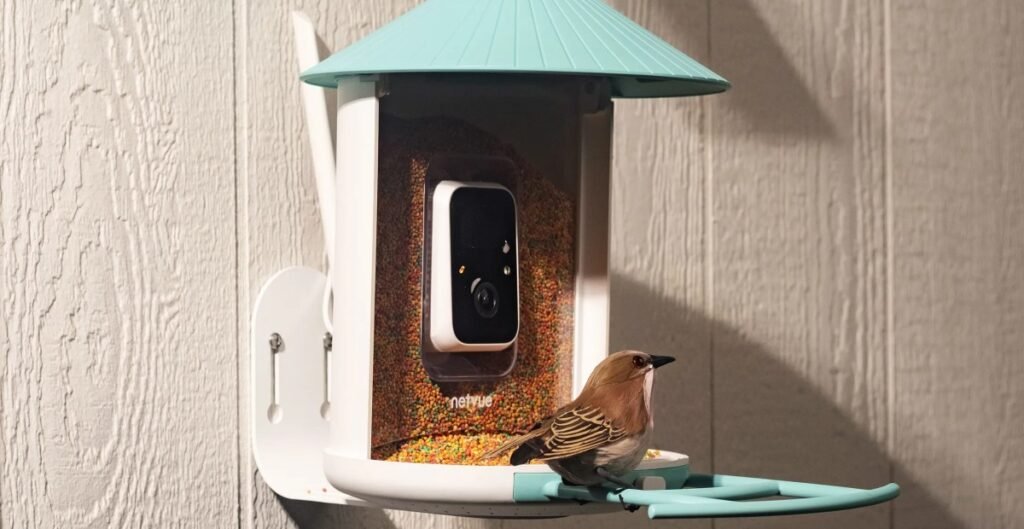 Amazon’s Big Spring Sale is a great time to get a fancy, AI-powered bird feeder