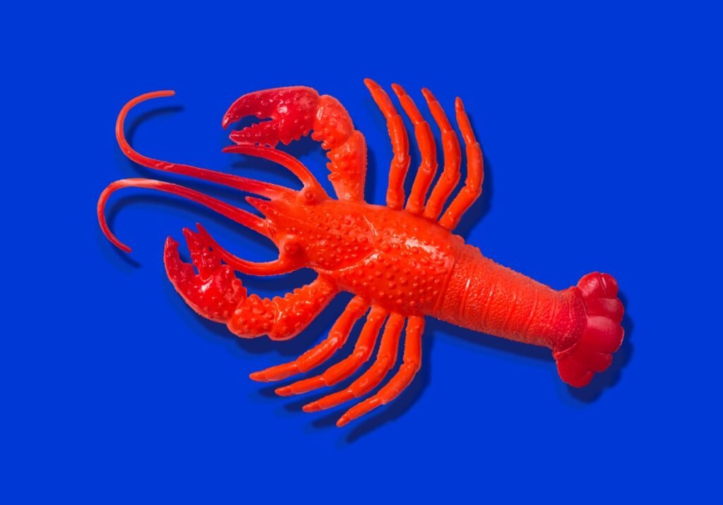 Red rubber lobster toy on blue background
