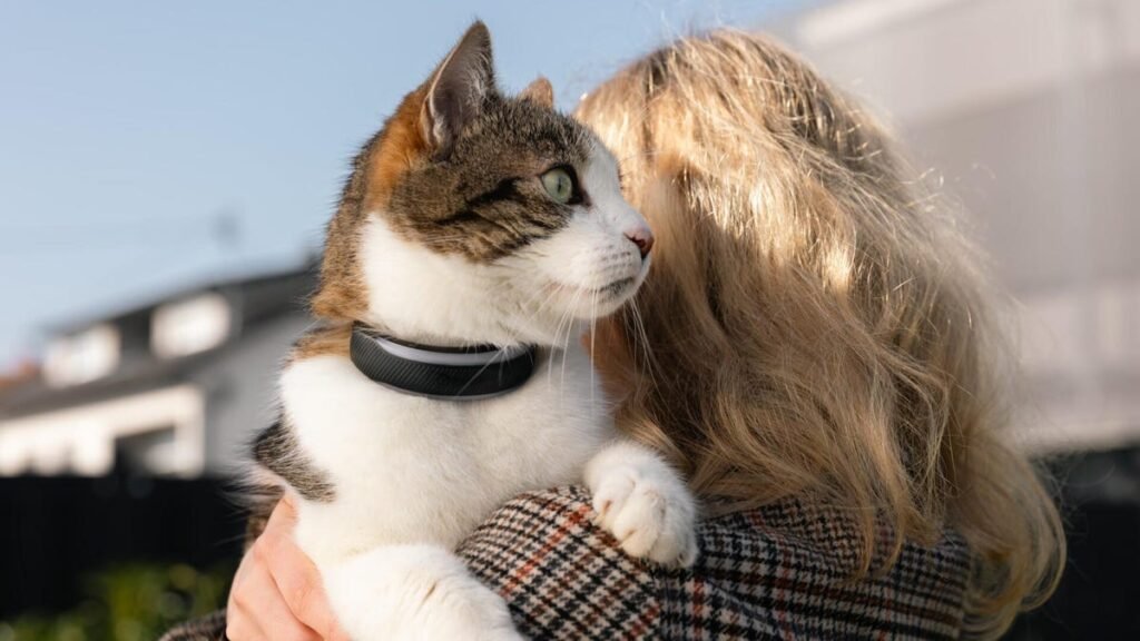 A cat with a smart collar sits on the shoulder of a woman with blonde hair.