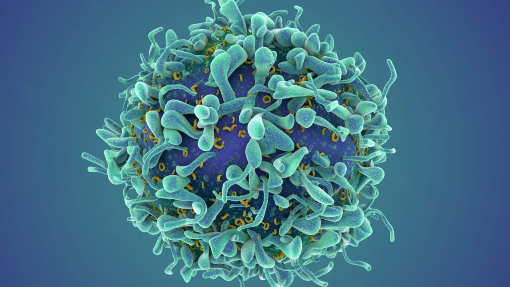 A revolutionary cancer treatment could transform autoimmune disease