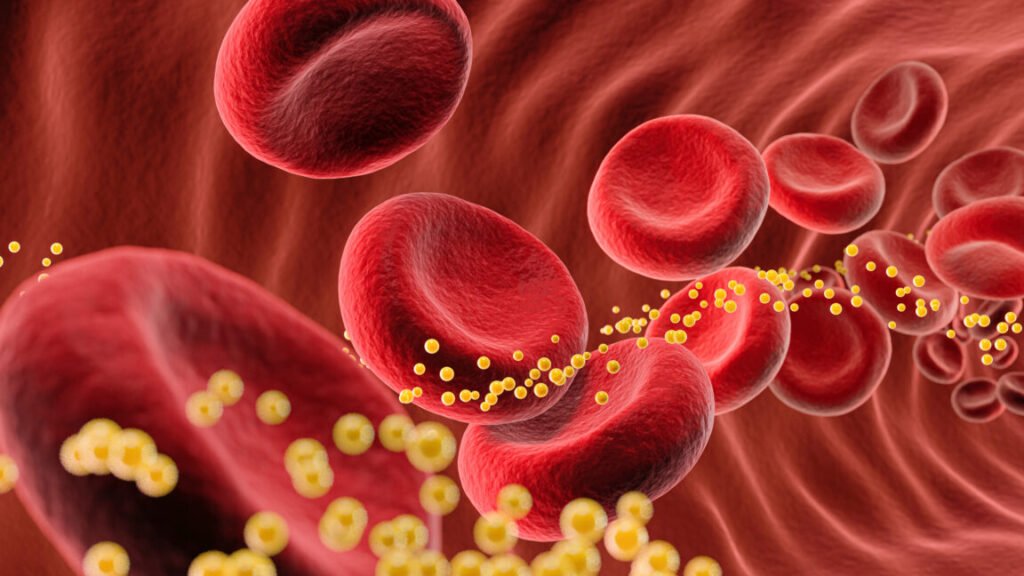 A cartoon of blood cells with cholesterol flowing through a blood vessel.