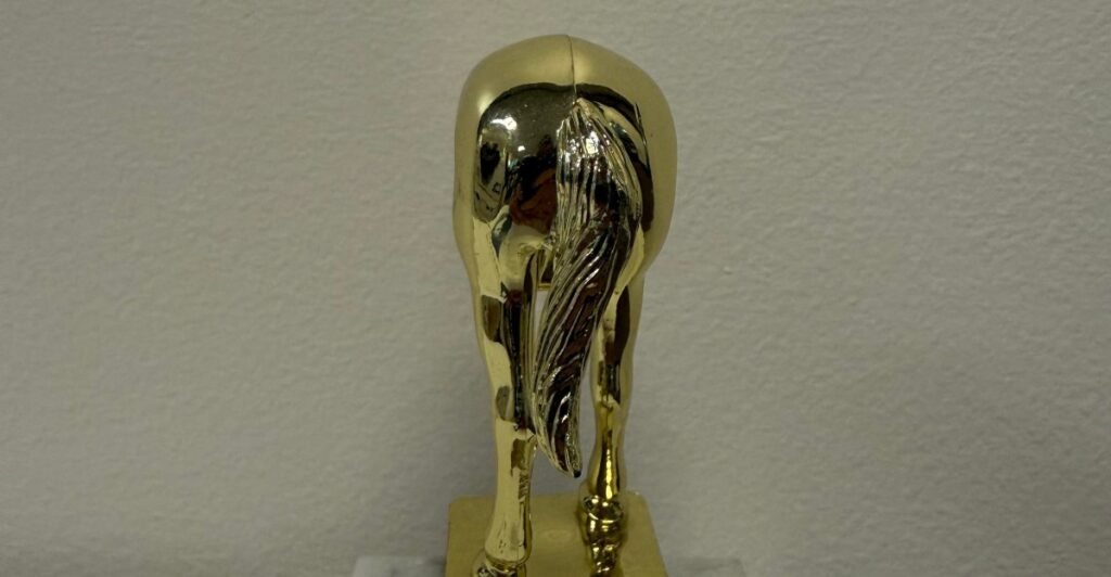 Behold, the Elon Musk jackass trophy