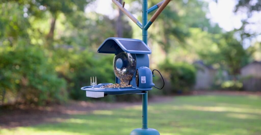 Coolfly’s Aura smart bird feeder review: More birds are better