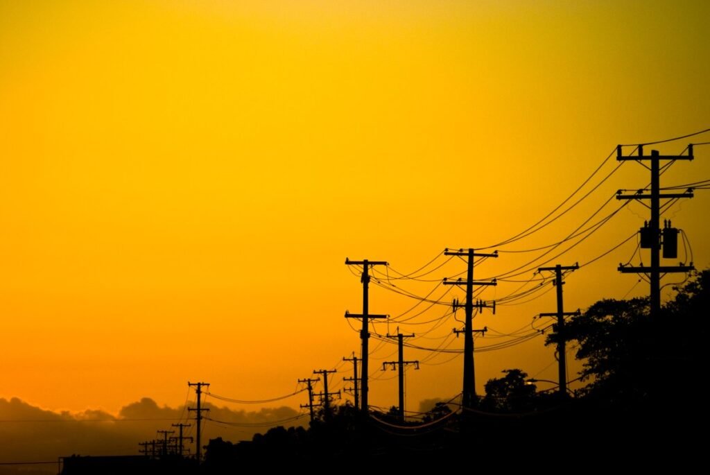 Power lines and trees in California at sunset.