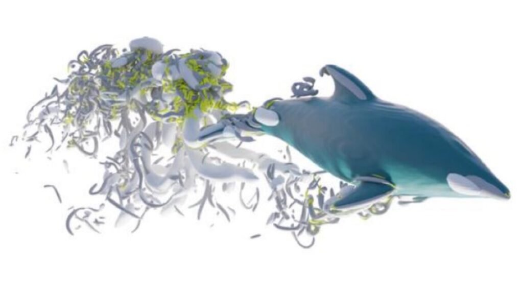 illustration of Hierarchy of vortices created by a swimming dolphin.