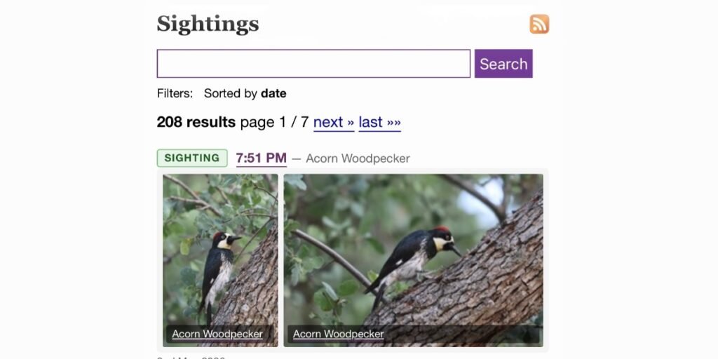 Sightings