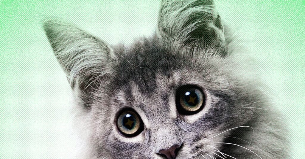 AI Slop Is Ruining Cute Animals on the Internet AI Slop Is Ruining Cute Animals on the Internet