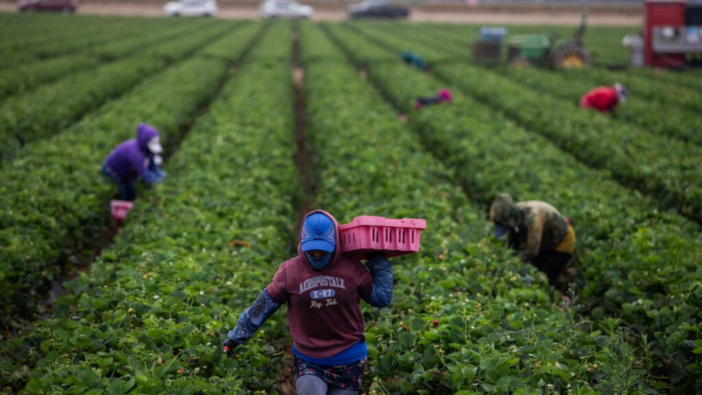 As temperatures get hotter, pesticides are more dangerous to farmworkers As temperatures get hotter, pesticides are more dangerous to farmworkers