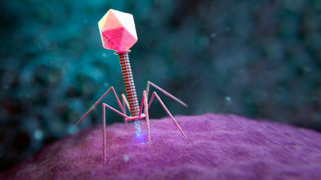 Cartoon image of a virus perched on the surface of a cell, in the process of inserting its genetic material into the cell.