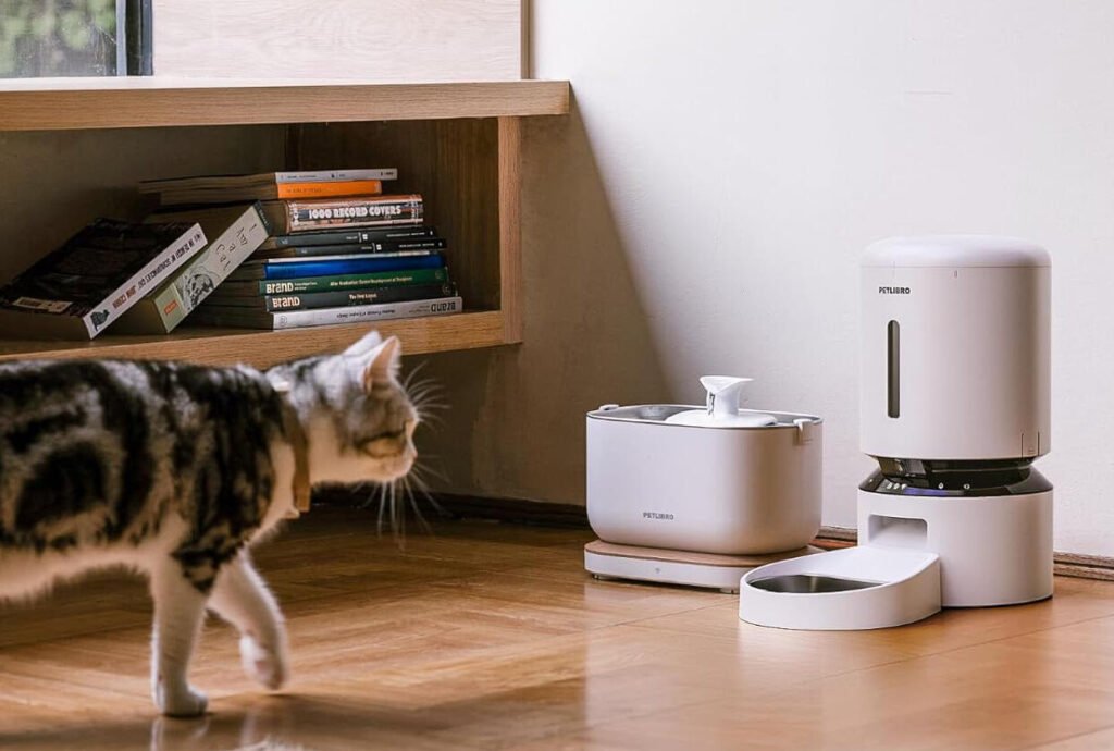 A cat approaches a Petlibro feeding station.