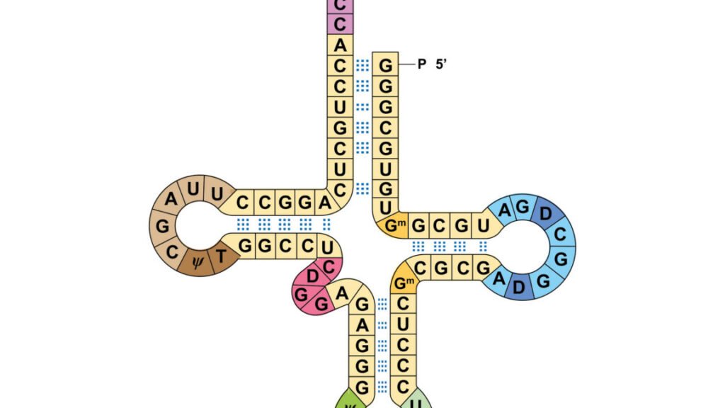 Image of a series of letters within colored blocks, tracing out a four pointed star shape.