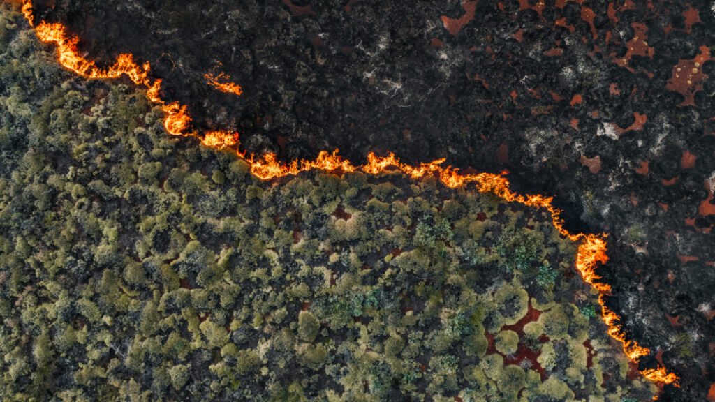 Senators demand crackdown on wildfire "prediction markets"