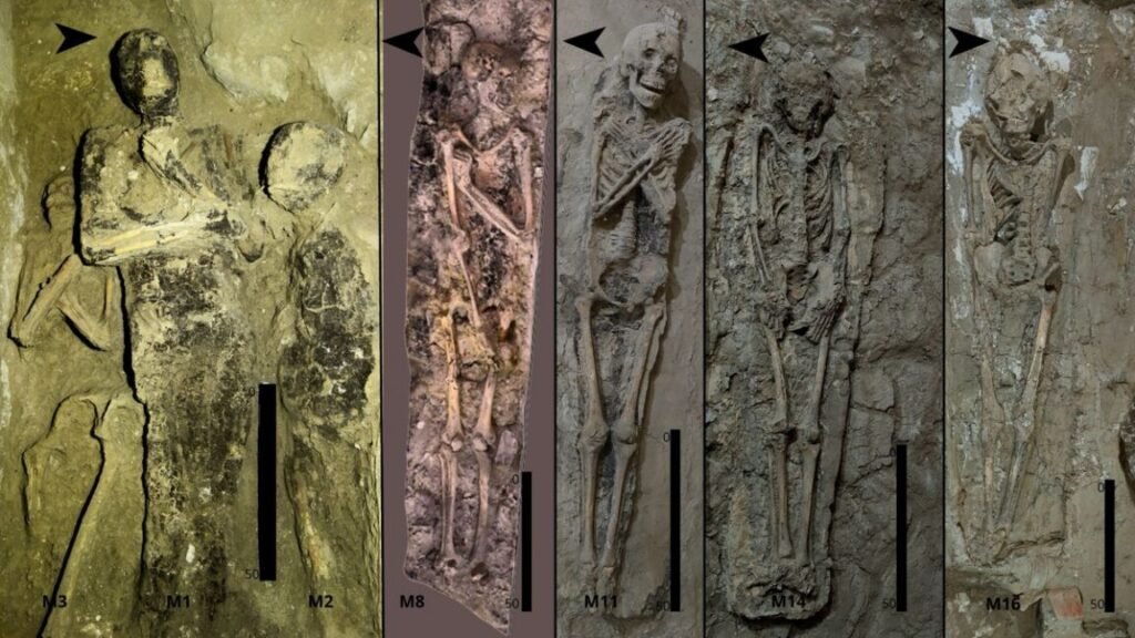 Mummified individuals from Side Chamber 3 of Theban Tomb 209, showing variation in body orientation and arm position.