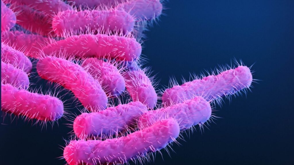 150 research primates got diarrhea, flooding lab with priceless vaccine data