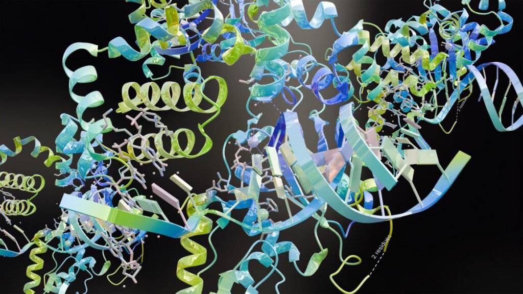 A multi-colored set of linked ribbons, coils, and swirls, meant to represent the backbone of a protein.