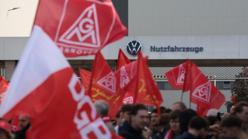 people protesting with flags