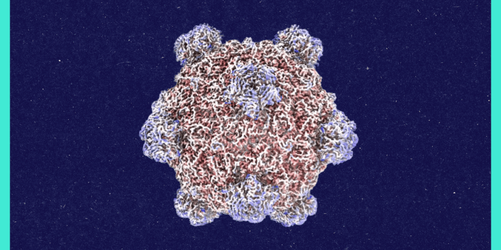 Roundtables: A Conversation With the Creator of AI-Designed Viruses